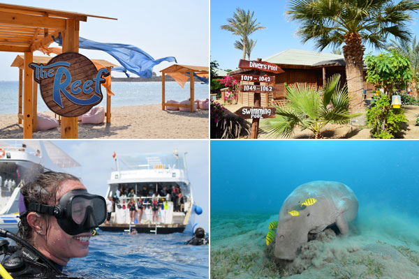 Egypte - Marsa Alam - Abu Dabbab Lodge