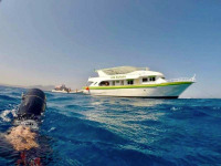 Plongée à Safaga en Egypte avec 3 Turtle Diving Center