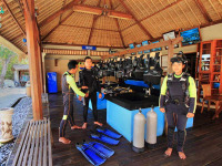 Indonésie - Bali - Mimpi Dive Center Menjangan