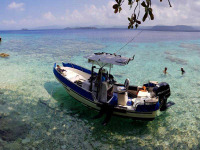 Vanuatu - Espiritu Santo - Coral Quay Fish & Dive Resort © wildkirinphotography.com