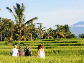 Indonésie - Bali - Ubud - Wapa di Ume Resort & Spa - Promenade dans les rizières
