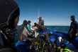 Afrique du Sud - Sardine Run - Blue Ocean Dive