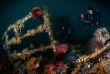 Afrique du Sud - Cape Town - Pisces Divers