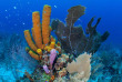 Belize - Turneffe Island Resort Dive Center 
