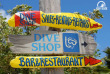 Bonaire - Voyage plongée accompagné avec Bleu Autrement © Shuttersock - Sandimako