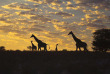 Botswana © Andrew M Allport, Shutterstock
