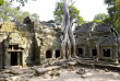 Cambodge - Le temple de Ta Phrom à Angkor