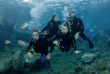 Iles Canaries - Gran Canaria - Delphinus Diving School © Pawel Ciechelski
