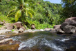 Dominique - Soufrière - Jungle Bay Dominica - Randonnées