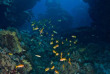 Egypte - Hamata - Orca Dive Clubs - Wadi Lahami