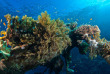Egypte - Marsa Alam - Orca Dive Clubs Moreen Beach