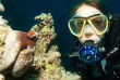 Egypte - Marsa Alam - Red Sea Diving Safari - Marsa Nakari © Johann Altschach