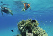 Egypte - Marsa Alam - Red Sea Diving Safari - Marsa Shagra © Pascal Kobeh