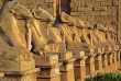 Égypte - Louxor - Journée complète à Louxor © Shutterstock, Kokhnanchikov