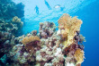 Egypte - Croisière plongee Red Sea Explorer © Extra Divers