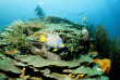 Egypte - Croisière plongee Red Sea Explorer © Extra Divers - Manuela Kirschner