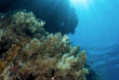 Egypte - Safaga - Orca Coral Garden