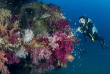 Croisière plongée en Mer Rouge avec Diving Attitude © Fabrice Didenhofer