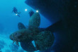 Egypte - Soma Bay - Orca Dive Clubs - Salem Express