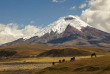 Equateur - Circuit Terres incas et Volcans Majestueux - Cotopaxi © Shutterstock, Ecuadorpostales