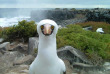 Equateur - Galapagos - Galapagos Sky