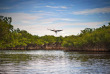 Etats-Unis - Everglades © shaferaphoto - Shutterstock