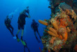 Iles Cayman - Grand Cayman - Sunset Divers
