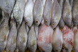 Indonésie - Java - Jakarta - Port de Sunda Kelapa et marchés aux poissons de Jakarta - Marché aux poissons © Shutterstock, Wisely