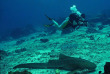 Indonésie - Kalimantan - Nabucco Island - Extra Divers