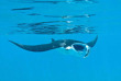 Indonésie - Komodo - Sebayur Island - Komodo Resort & Diving Club
