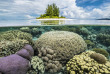 Indonésie - Raja Ampat - Papua Paradise Eco Resort © Thomas Haider