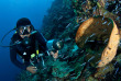 Indonésie - Sulawesi - Gangga - Gangga Divers © Rudy Whitworth