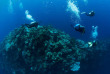 Indonésie - Sulawesi - Croisière plongée Pelagian © Aaron Wong