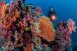 Indonésie - Sulawesi - Wakatobi Dive Center © Richard Smith
