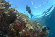 Indonésie - Wakatobi Dive Resort - Activités