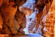 Jordanie - Excursion Petra et Wadi Rum © Shutterstock, Boris Stroujko