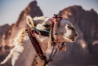 Jordanie - Excursion Petra et Wadi Rum © Shutterstock, Esther Pena Bartolome