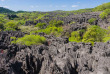 Madagascar - Réserve de l'Ankarana © Pierre Yves Babelon - Shutterstock
