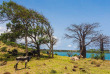 Madagascar - Antsiranana, Diego Suarez © Pierre Yves Babelon - Shutterstock