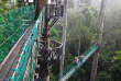 Malaisie - Circuit Découverte des orangs-outans - Marche sur la canopé aux alentours du Borneo Rainforest Lodge