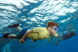 Forfait de Snorkeling avec Sea Explorer à Reethi Faru © Sea Explorer, Frank Schneider