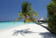 Maldives - Vilamendhoo Island Resort and Spa - Activités et excursions