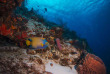 Mexique - Yucatan - Cozumel - Blue Note Scuba © Shutterstock - B Campbell