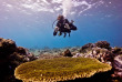 Mozambique - Vilanculos - Odyssea Dive © Francisco Messina Photography