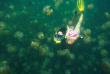 Palau - Jellyfish Lake © PVA