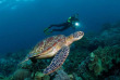 Philippines - Negros- Dumaguete - Atlantis Dive Shop