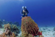 Safari plongée Best Of Philippines © Sea Explorer - Uw Picture