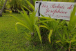 Polynésie - Rangiroa - Les Relais de Joséphine