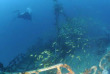 Seychelles - Mahé - Blue Sea Divers