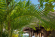 Seychelles - Mahe - STORY Seychelles - Ripples Pool Bar